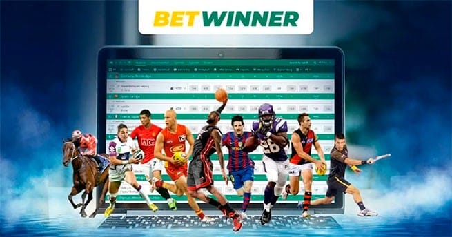 Why Betwinner is Your Go-To Platform for Betting