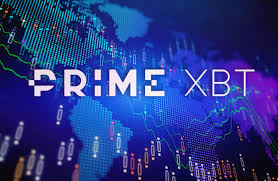 Discover the Trading Opportunities with PrimeXBT Turkey