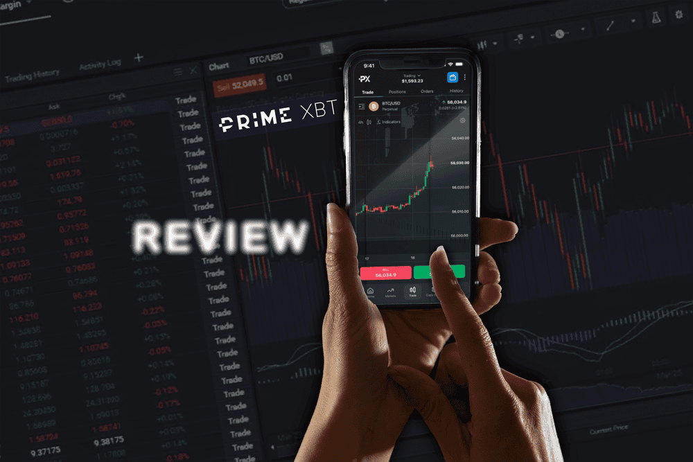 Discover the Trading Opportunities with PrimeXBT Turkey